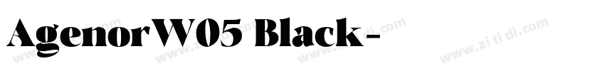 AgenorW05 Black字体转换